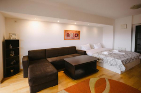 Privilegio apartment - Centru Civic - Afi Mall